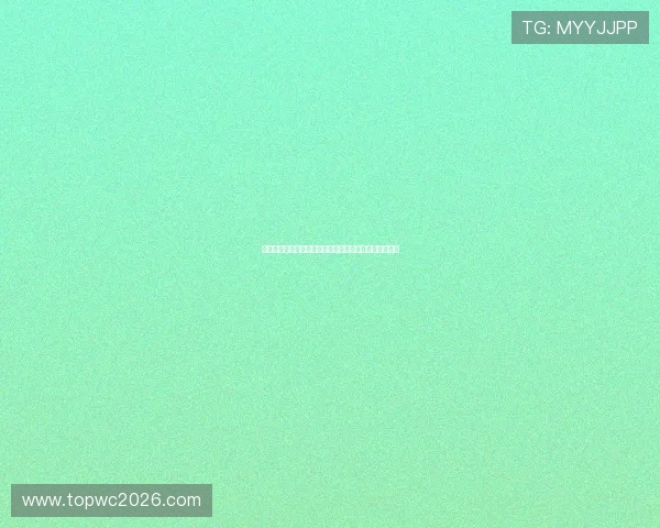 波黑与瑞士阵型战术分析：影响比赛结果的关键因素详解